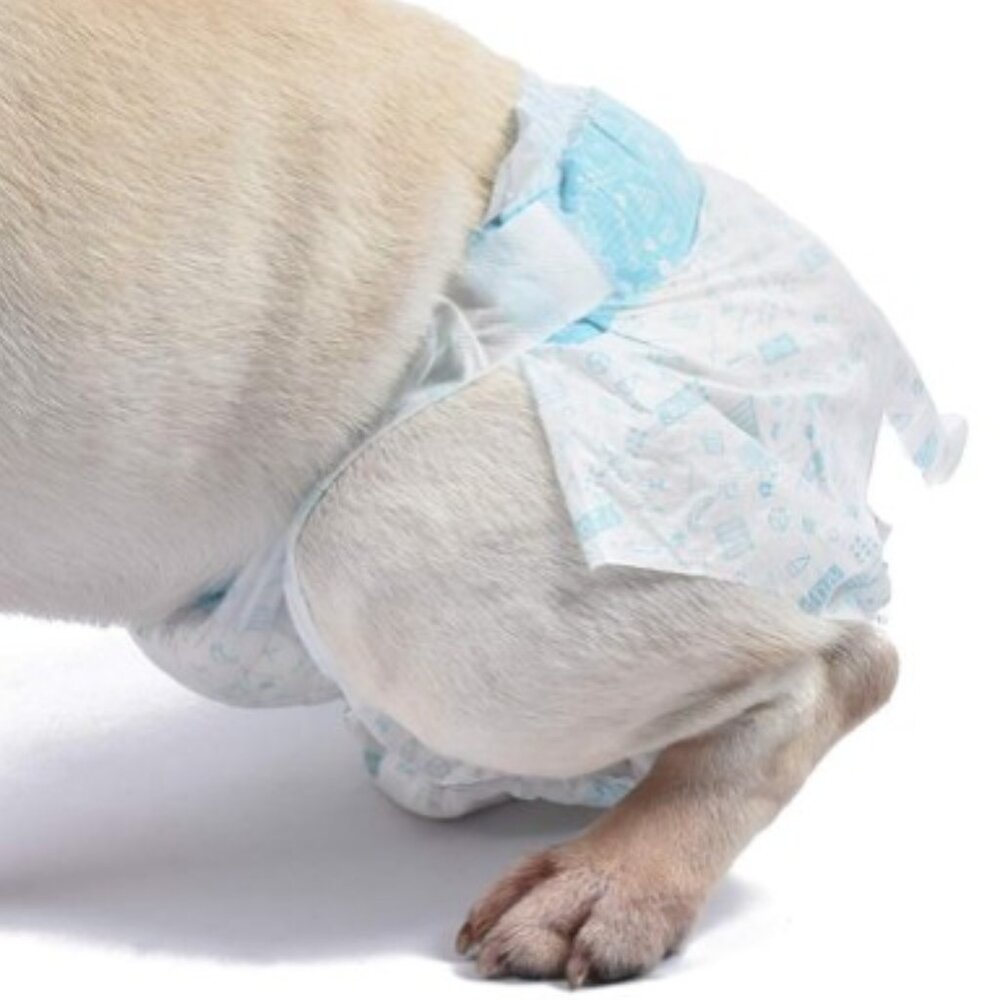 Wags & Wiggles Dog Diapers - Picture 5 of 7
